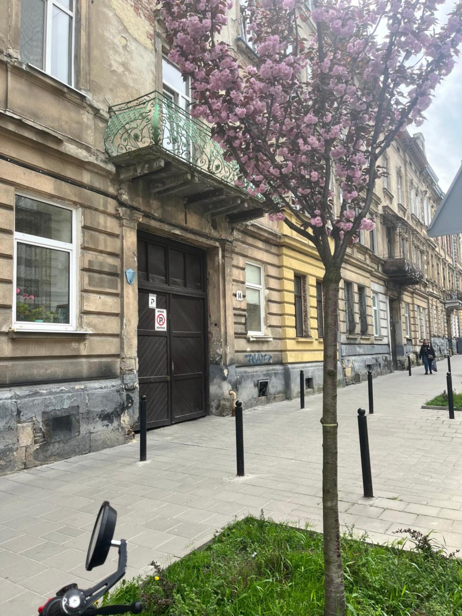 Medova Apartments Lvov Exteriér fotografie